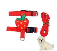 Correas resistentes para perros - Lindo chaleco de dibujos animados Correas de entrenamiento para perros Juego de correas | Necesidades para perros al aire libre Suministros para mascotas Arnés para p