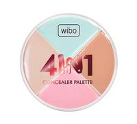 Corrector 4 In 1