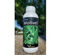 Corrector de carencia de Molibdeno. Abono fertilizante rico en molibdeno soluble en agua 1L. Molivell