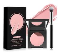 Corrector de Ojeras, Corrector Ojeras, Concealer Hidratante de Ojeras, Alta Capacidad Ocultadora,Ilumina Instantáneamente el área de los ojos, Trucco a Lunga Durata, Incluye Brocha Correctora, 5g