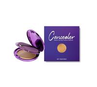 Corrector en crema mate, corrector de ojeras, de larga duración, resistente al sudor, cubre cicatrices, apto para rostro y cuerpo (1PCS-B)