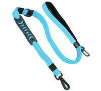 Correo de Coche para Mascotas Caminata Lea la Correa de Nylon Entrenamiento Antilost (Blue)