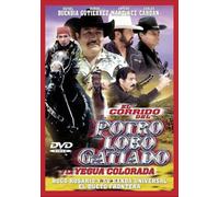 Corrido Del Potro Lobo Gatiado [USA] [DVD]