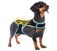 Corsé para Espalda del Perro Artritis, Corsé para Espalda Perros IVDD, Alivio del Dolor de Espalda, Recuperación Quirúrgica(M)