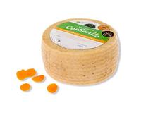 Corsevilla - Queso Curado Cabra Leche Cruda - Sabor Intenso - Tierno - Perfecto Para Maridar Con - Vino Tinto - Frutos Secos - Picos - Pan - (2,8 Kg aprox.)