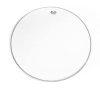 Cort Gene Simmons GS de Axe 2