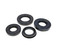 CORTECO Kit de retenes, motor para RENAULT: MÃ©gane, ScÃ©nic, Clio, Kangoo, Modus, Thalia & NISSAN: Almera, Micra & DACIA: Logan (Ref: 289038)