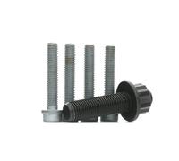 CORTECO 80001253 Kit tornillos, cigüeñal polea