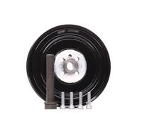 Corteco 80004398 Correas de Distribución