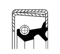 CORTECO Anillo obturador (Ref: 19034567B)