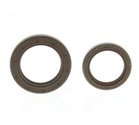 CORTECO Kit de retenes, motor para FIAT: Ducato, Ulysse & CITROËN: Jumper, Relay, ZX, Xantia, Xsara, Visa, Evasion, XM, BX, Synergie (Ref: 289005)