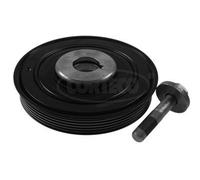 CORTECO Kit poleas, cigüeñal para CITROËN: Berlingo, Jumper, Relay, Xantia, Jumpy, Xsara, C8, Synergie, C5, Evasion, Xsara Picasso (Ref: 80001811)