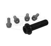 CORTECO Kit tornillos, cigüeñal polea para AUDI: TT & SKODA: Superb, Roomster & SEAT: Alhambra, Altea, Leon (Ref: 80005273)