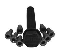 CORTECO Kit tornillos, cigüeñal polea para VOLKSWAGEN: Passat & AUDI: A4, A8, A6 (Ref: 80001262)