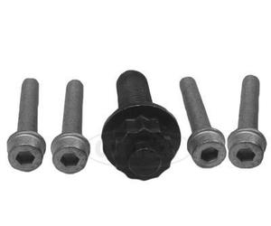 CORTECO Kit tornillos, cigüeñal polea para VOLKSWAGEN: Sharan, Golf, Passat, Transporter, Polo, Golf Cabriolet, Vento, Caddy (Ref: 80001253)
