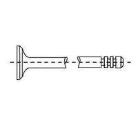 CORTECO Válvula de admisión para PEUGEOT: 207, 307, Partner, 5008, 3008, 308, 1007, 206, Expert & FORD: Fiesta, Focus, Fusion, C-Max (Ref: 554016B)