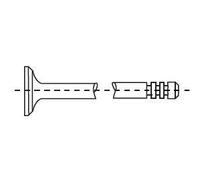 CORTECO Válvula de admisión para RENAULT: Twingo, Kangoo, Clio, Modus, Thalia & DACIA: Logan, Sandero & NISSAN: Kubistar (Ref: 551861B)