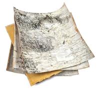 Corteza de abedul blanco natural, 4 hojas de 8 x 8 pulgadas, hojas de decoración de árbol de abedul blanco ruso para álbumes de recortes, proyectos de bricolaje, artes y manualidades, papel de madera