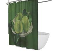 Cortinas de Ducha estéticas Verdes, Naturaleza Muerta modernista de Arte, Cortinas de Ducha Manzanas en Blanco con Estampado de Cuenco y decoración de Cortinas de baño con Ganchos 200 x 220 cm