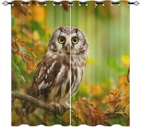 Cortinas Opacas 91.5An x 214Al cm (2 Paneles), Visillo Reductoras de Ruido Ojales Dormitorios, BúHo Animal Cortina PoliéSter Decorativas Verde para Sala de Estar