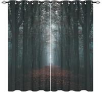 Cortinas Salon 2 Piezas 140An x 245Al cm, Sendero Tranquilo En El Bosque Cortinas Ojales Ventana Opacas Hogar Decor, Verde Cortina Termicas Aislantes para Infantil Dormitorio