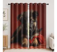 Cortinas Termica Dormitorio con Ojales 2 Piezas 91.5An x 214Al cm, Animal Pastor AlemáN Primer Plano Blackout Cortinas Salon Opacas Rojo Visillos Acusticas Privacidad Suave