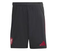 ADIDAS PERFORMANCE Pantalón deportivo 'Liverpool FC 25/26' rojo / negro S rojo / negro