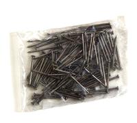 CORVUS A600530 Clavos de 2 x 30 mm, 100 Unidades, Plata, Set Piezas