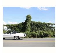 Cory Branan - When I Go I Ghost