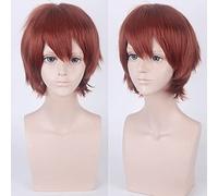 cos wig juvenile anti-curled short hair color universal men's wig cosplay anime wig color:002-35