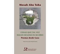 Cosas Que Tal Vez Halles Ocultas En Mi Oído