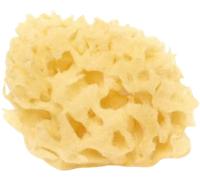 Cose della Natura Esponja Honeycomb Blanqueada - 4-5 g Cose della Natura