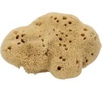 Cose della Natura Esponja - Seda - mediana 8-10 g Cose della Natura