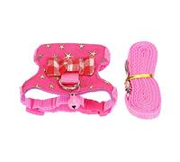 Cosiki ArnéS para Caminar para Mascotas, Conjunto de Chaleco, Correa de Pecho de Algodón Suave para Hurón, Chinchilla, Ardilla, Suministros para Mascotas para Caminar Al Aire Libre S,M (M)