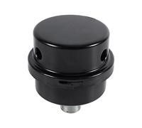 Compras Locas Compresor de Aire de Metal Filtro de admisión Silenciador Silenciador Rosca 3/8" 16MM, Negro