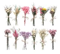 Cosmeria Ramo de Flores Secas 12 Piezas, Decoración de Flores Secas Naturales con Lavanda, Margaritas y Nomeolvides, Versátil para Casa, Oficina