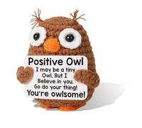 Cosmeria Regalos personalizados para colegas y hermanas, idea de regalo de búho positivo, búho antiestrés y amuleto de la suerte para cualquier ocasión