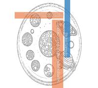 Cosmic Zentangle Adventures: 65 Relaxing Universe Patterns of Stars, Planets, and Galactic Wonder