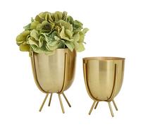 CosmoLiving by Cosmopolitan Metal Indoor Outdoor Planter Olla pequeña pequeña con Soporte extraíble, Conjunto de 2 Plantadores 6", 7" H, Oro