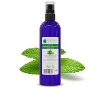 Cosmos Hidrolato de Menta 200ml