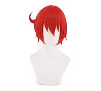 Cosplay Wig Hataraku Saibou Células en el trabajo Eritrocitos ALLOLOS ROJOS COSTO COSPLAY COSPLAY CAMBIO SINTÉTICO SINTÉTICO Mujer pelucas
