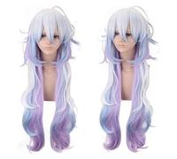 Cosplay Wig Merlin peluca FGO destino gran orden anime Cosplay Peluca cosplay Comic-Con Fiesta de Halloween carnaval adultos hombres y mujeres Anime Fans Gift (peluca de pelo largo púrpura plateado) K