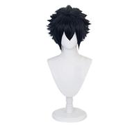 Cosplay Wig Peluca de anime Final Fantasy XV Cosplay Noctis Lucis Caelum Peluca, Peluca corta y esponjosa, Disfraz Peluca de Halloween, for Halloween, Fiesta de disfraces, Espectáculo de anime, Evento