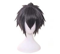 Cosplay Wig Peluca de anime Final Fantasy XV Cosplay Noctis Lucis Caelum Peluca, Peluca corta y esponjosa, Disfraz Peluca de Halloween, for Halloween, Fiesta de disfraces, Espectáculo de anime, Evento