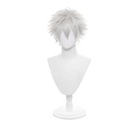Cosplay Wig Peluca de anime Gintama Cosplay Sakata Gintoki Peluca, Peluca de anime, Disfraz Peluca de Halloween, for Halloween, Fiesta de disfraces, Espectáculo de anime, Evento de cosplay, Conciertos