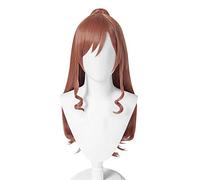 Cosplay Wig Sueño de explosión de peluca de anime.Peluca de Cosplay Imai Lisa, peluca larga marrón, peluca de disfraz de Halloween, for Halloween, fiesta de disfraces, espectáculo de Anime, evento de