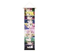 CosplayStudio Póster grande Sailor Moon Crystal de tela, 135 x 33 cm, diseño de los guerreros marineros