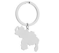 COSSIKA Llavero de Moda con Estilo, Llavero con Mapa de Venezuela, Llavero con Mapa de Venezuela de Acero Inoxidable, Recuerdo entusiastas de la Cultura viajera