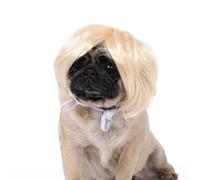 COSSIKA Postizo para Cachorro, Tocado de Moda para Mascotas, Pelucas de Aspecto Llamativo para Vestido, Pelucas de peluquín para Mascotas de Navidad, Regalo para Fiesta