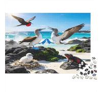 Costa Galápagos Aves Puzzle de 1000 Piezas Papel para Adultos Escena Naturaleza Puzzle para Toda la Familia 52x38cm/1000pcs